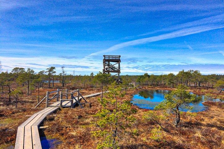 Från Riga: Bästa av Kemeri nationalpark på en dag