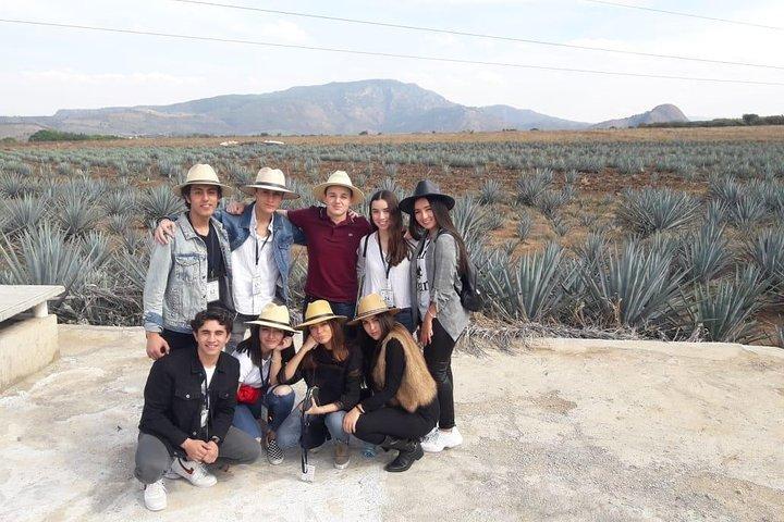 Tour de Tequila, Limão e Sal - Visitando Jalisco