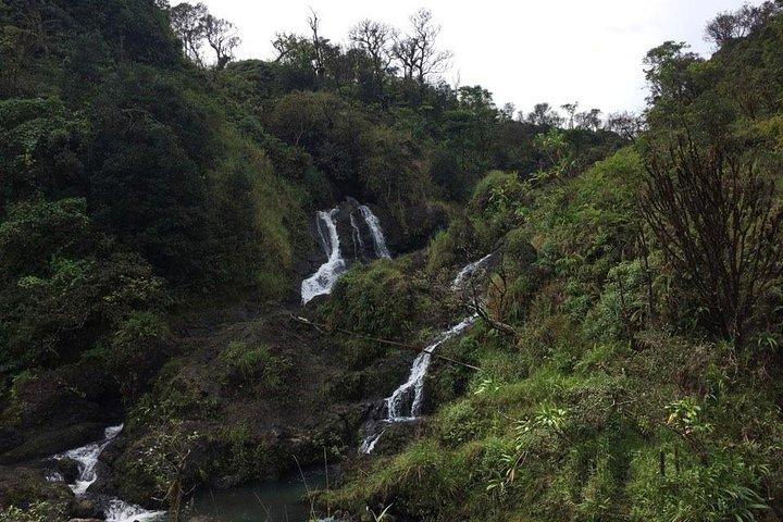 Viagem de um dia para Oahu e Maui: viagem de um dia para Estrada para Hana saindo de Oahu com passagem aérea