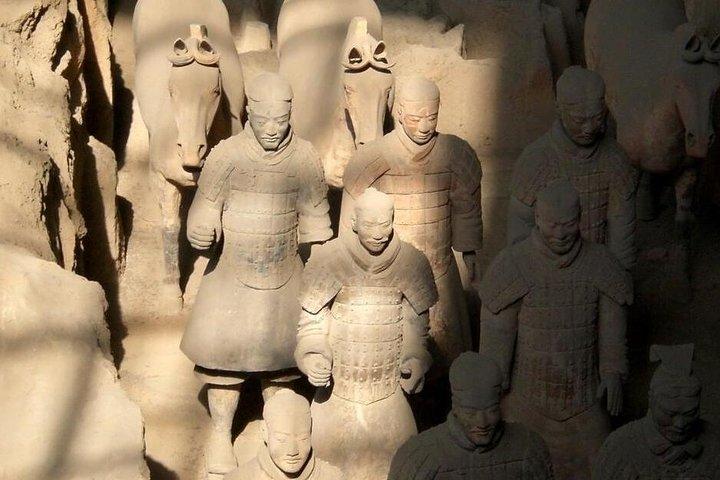 Halvdags privat rundvisning af terracotta krigere og heste museum