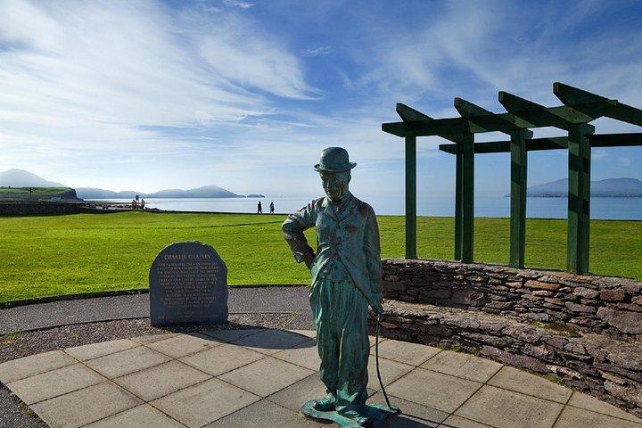 キラーニーからのリングオブケリーデイツアー:キラーニー国立公園を含む