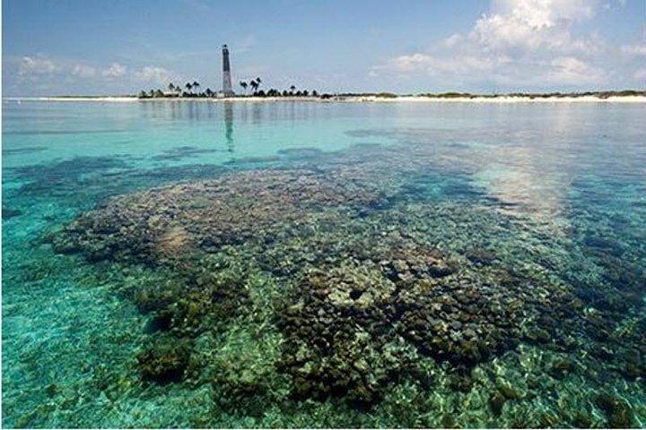 Dry Tortugas National Park Excursão de um dia de catamarã a partir de Key West