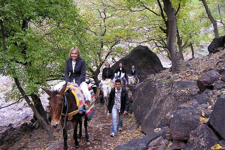 4 hours trekking in the Atlas mountains from Marrakech