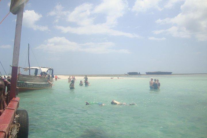 Tour completo di delfini e snorkeling da Diani Beach, Mombasa