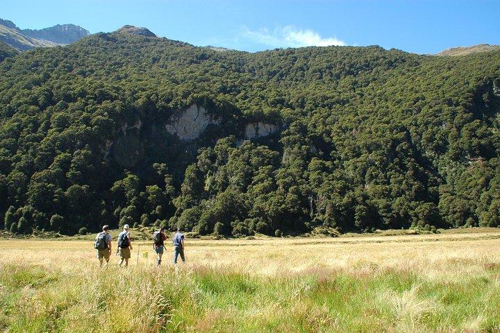 Experiencia en Siberia: Fly-Hike-Jetboat: Aventura en la naturaleza: Wanaka