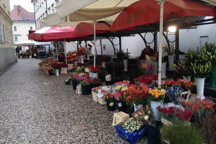 Tour della città di Lubiana con visita al castello