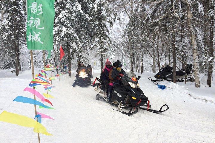 ハルビンからの中国の雪の町への2日間の小グループ旅行