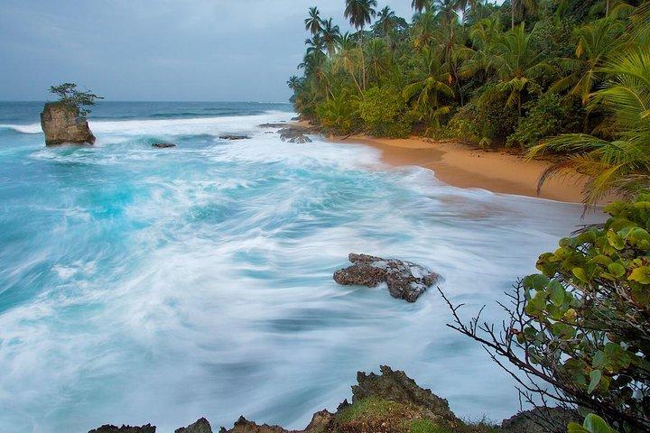 8 Días - San Jose - Tortuguero - Cahuita