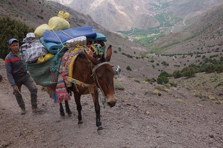 Toubkal Ascent Trek - Atlas Mountains - 2 giorni (Private Trek)