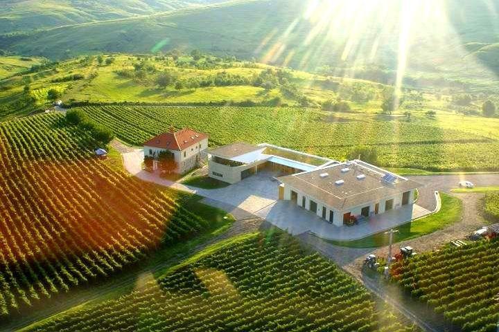 From Bucharest: Private Dealu Mare Wine Tasting Tour