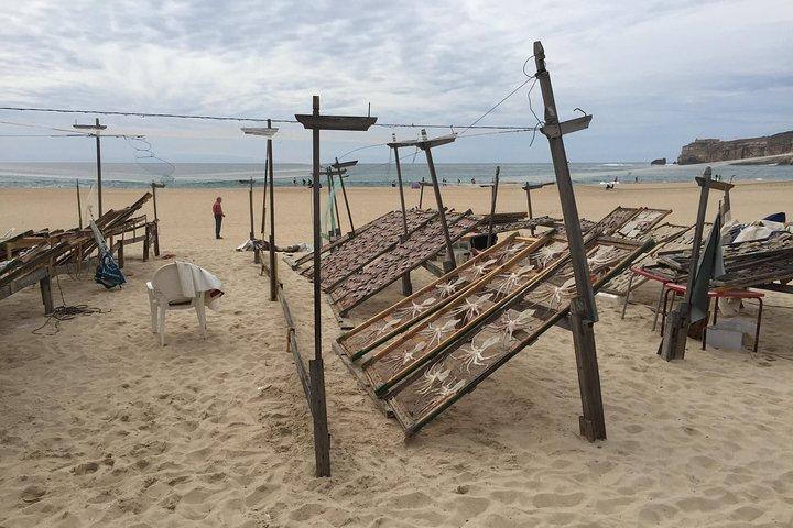 Tour Privado Sesimbra, Azeitão e Setúbal com Degustação de Vinhos