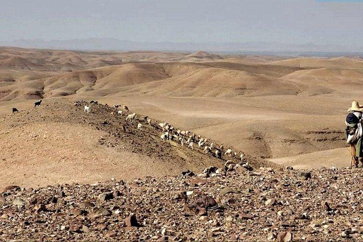 Marrakech private day tour to Agafay desert & Lake Takerkoust