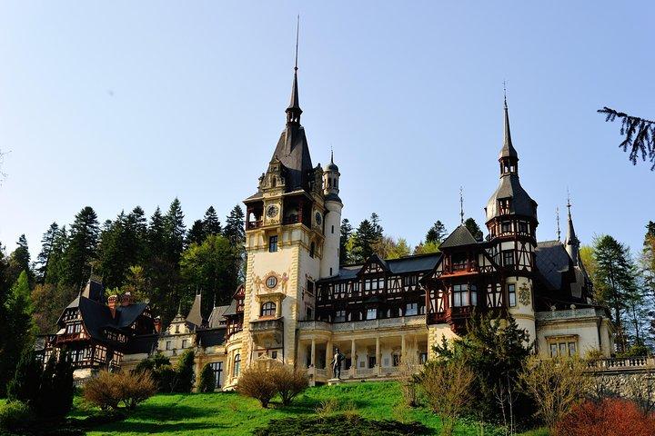 Dracula Castle & Peles Palace Tour från Bukarest Inklusive Brasov Old Town