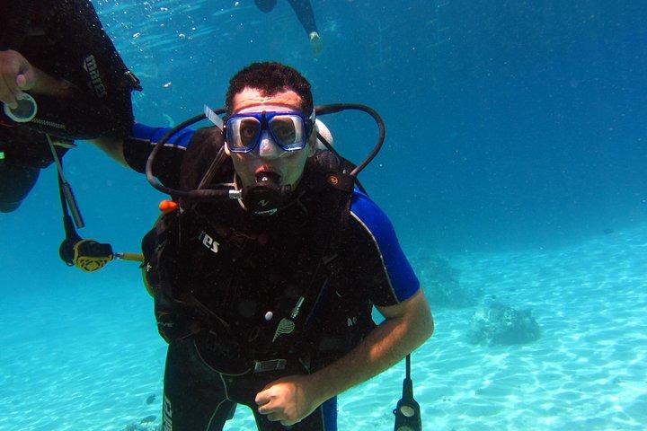 Intro Diving and Snorkeling day trip