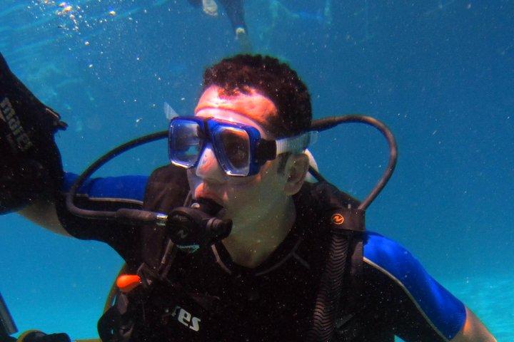 Intro Diving and Snorkeling day trip