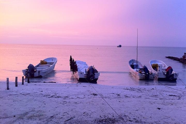 HOLBOX ISLAND TOUR - fra Holbox (Privat)