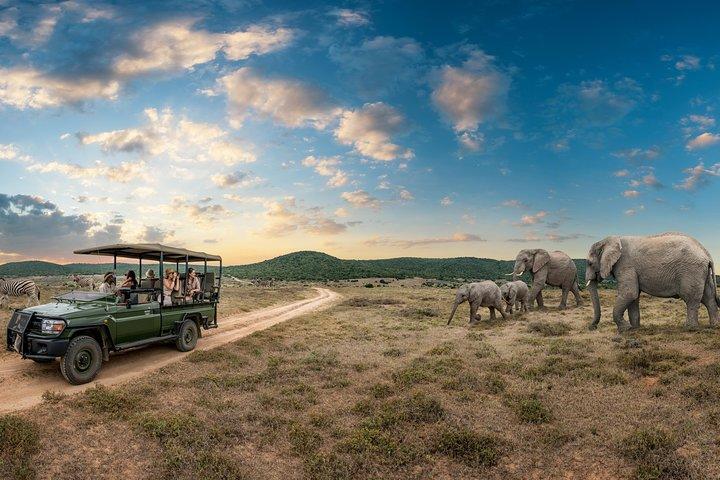9 dagars lyxig Kruger Park Safari & Cape Town Tour