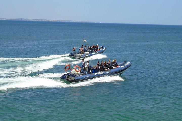 Sealife Zeesafari, dolfijnen spotten met Marine Biologist's Lagos