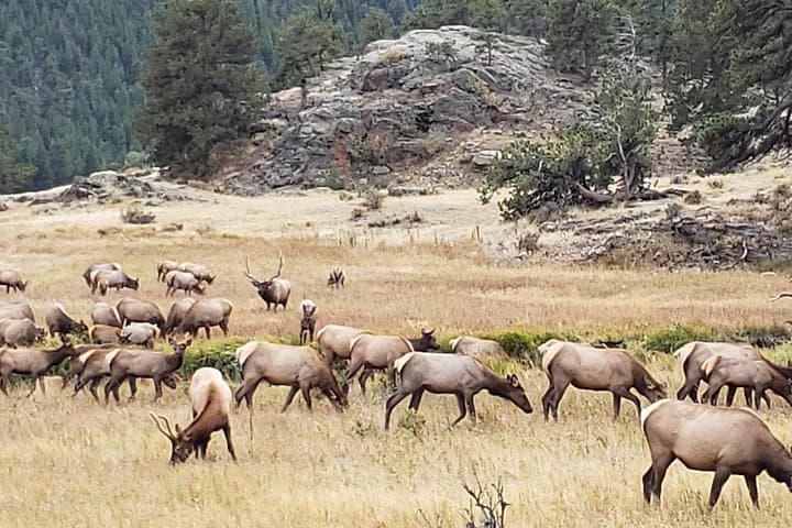 Rocky Mountain National Park and Estes Park Tour from Denver Winter and Spring