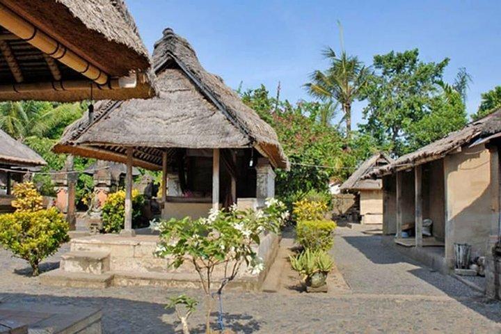 Bali privat tur: Ubud Artisan Village Day Tour (alt inklusive)