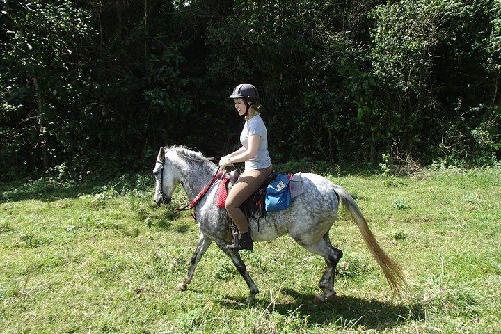 Avventure a cavallo private e personalizzate