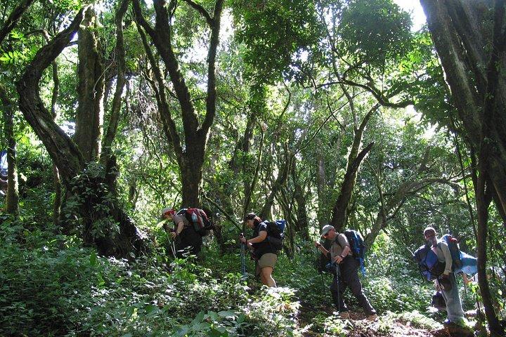 Private Kilimanjaro klatre - enhver rute - 8 til 15+ dage