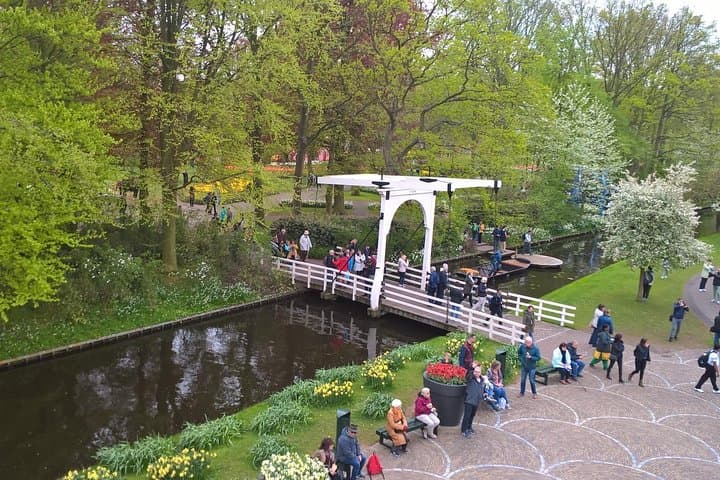 Keukenhof's Tulips and Windmills Small-Group Tour from Amsterdam