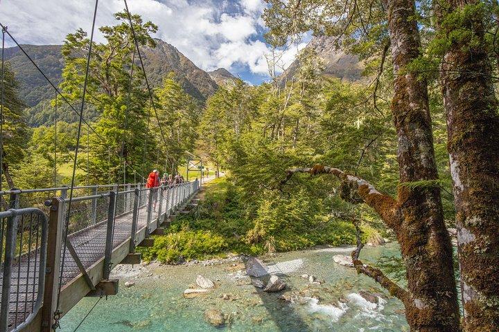Routeburn Track Guided Walk (halber Tag)