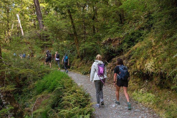 Routeburn Track Guided Walk (halber Tag)