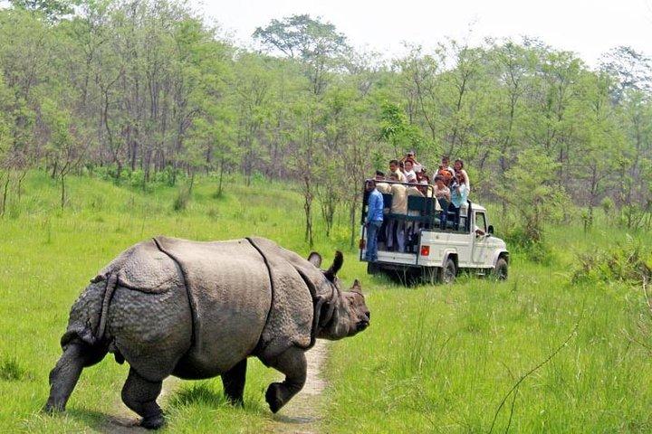 Katmandou, Chitwan, Pokhara avec Dhampus Sarangkot Trek