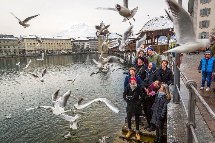 Excursão a pé privada em Lucerna com visita ao castelo!