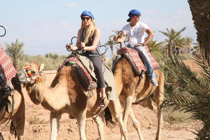Sunset Tour & Dromedary Ride At Palm Grove Of Marrakech