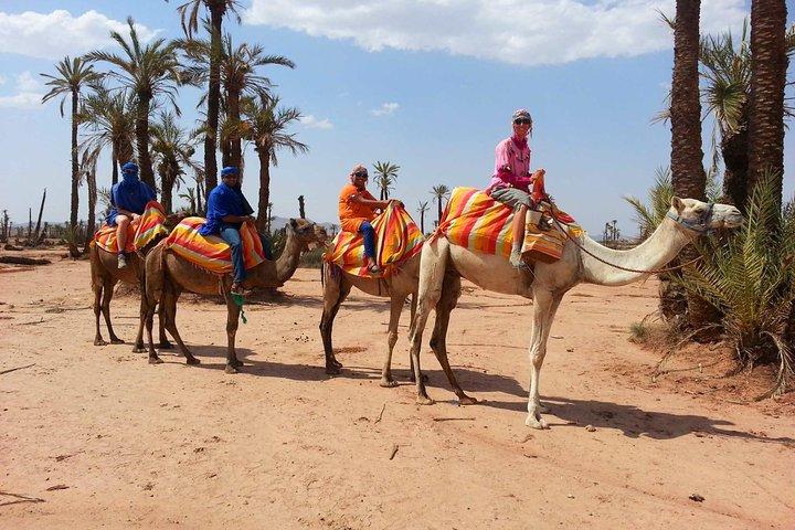 Sunset Tour & Dromedary Ride At Palm Grove Of Marrakech