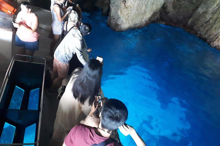 ザキントス島:ナヴァイオビーチ青の洞窟&トップビューへの1日小グループツアー