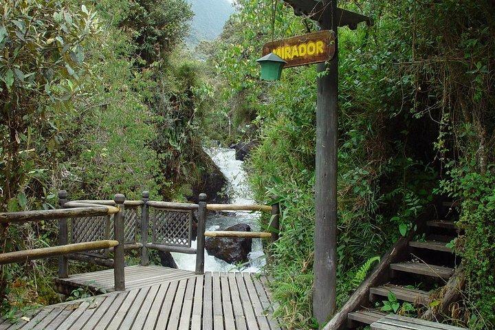 Termas de Papallacta Privédagtour - Wandel- & spatickets