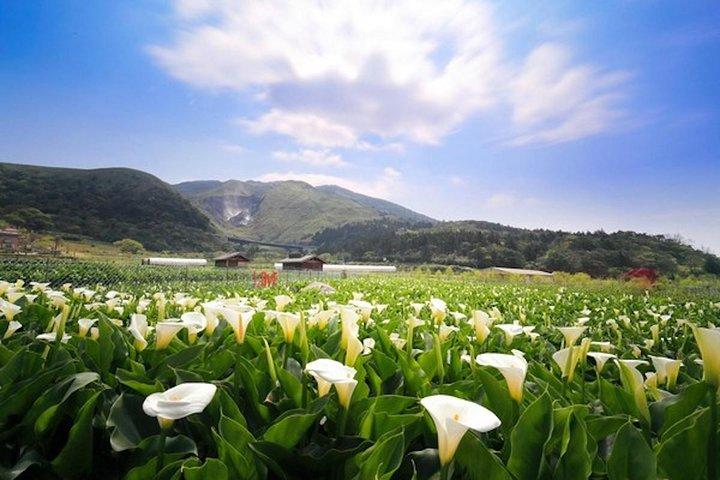 5時間のベジタリアン・プライベートツアー - ヤンミンシャンと味の野菜料理を訪ねる