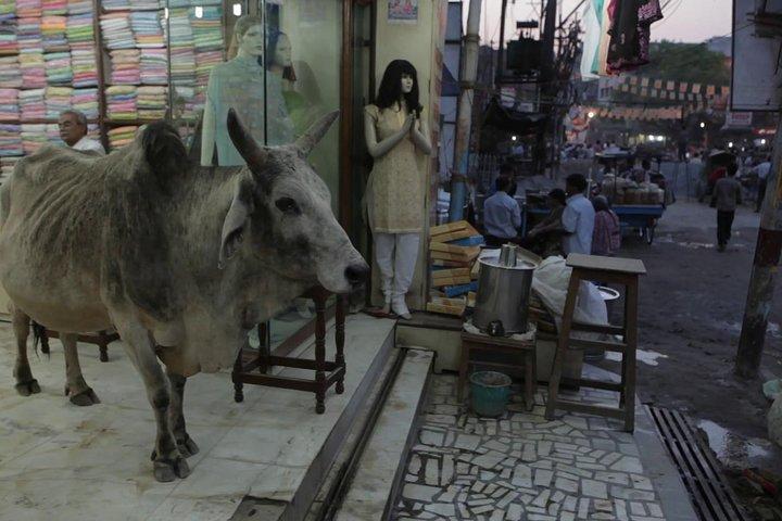 Varanasi Puzzled Alleys and Hidden Shrines