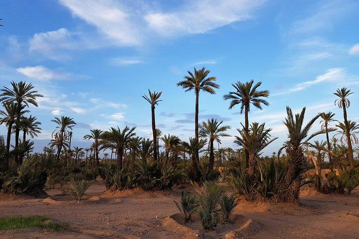 Majorelle Garden, Berber Museum & Camel Ride Tour from Marrakech