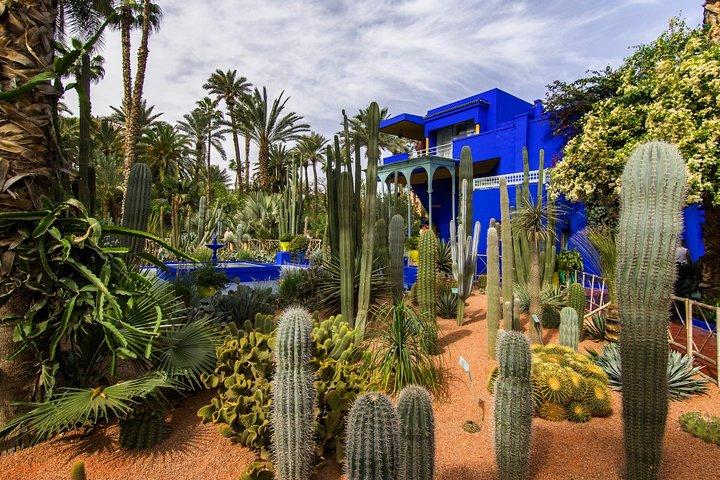 Majorelle Garden, Berber Museum & Camel Ride Tour from Marrakech