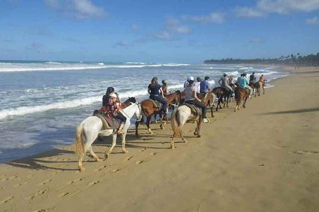 Beach Horseback