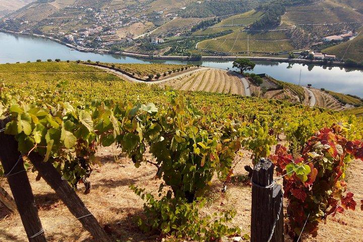 Private abseits der ausgetretenen Douro Valley Wine Tour