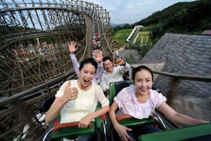 Tour privado de 4 días a la isla de Nami y Petite France y Seúl y Everland