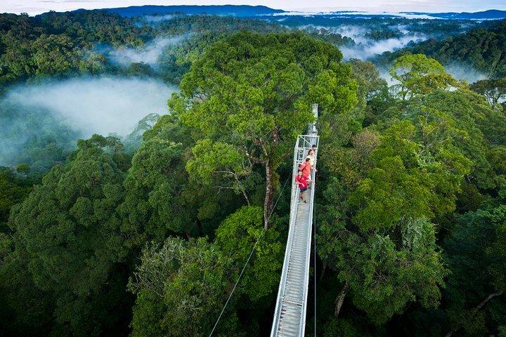 Tour combinado privado 4 en 1 Monteverde Cloud Forest