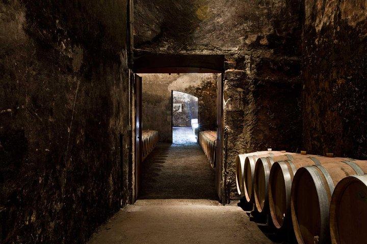 Bordeaux: wijntour en proeverij