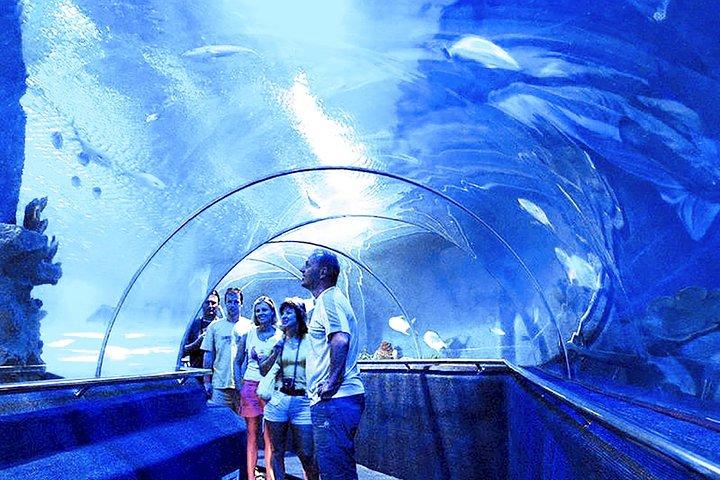 Nha Trang: aproveite o melhor da cidade de Nha Trang e relaxe no spa