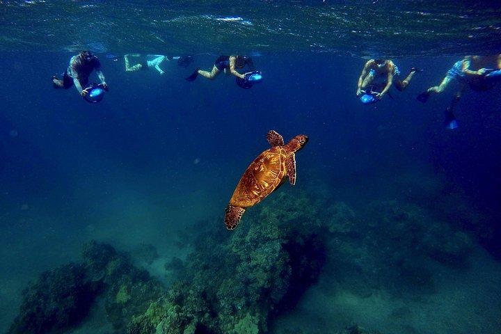 シースクーターシュノーケリングツアー(写真とビデオ付き)ワイレアビーチ