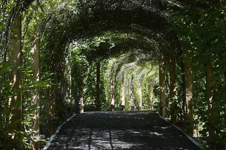 Kandy City tour from Colombo or Negombo (ALL INCLUSIVE)