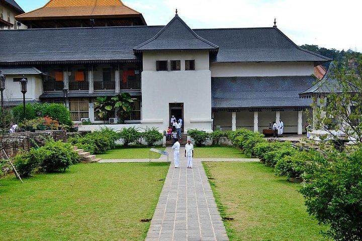 Kandy City tour from Colombo or Negombo (ALL INCLUSIVE)