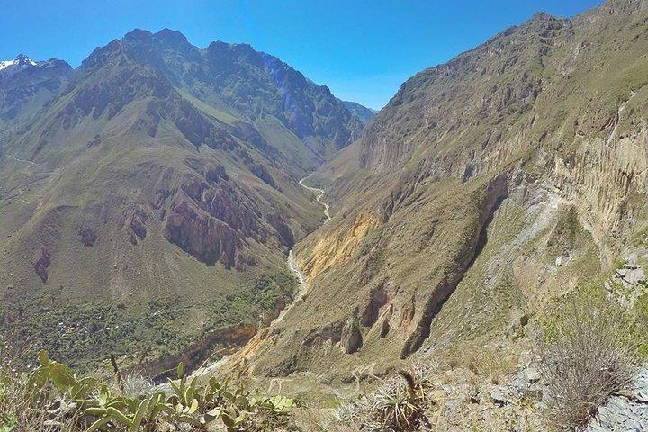 3-daagse Colca Canyon Trekking vanuit Arequipa