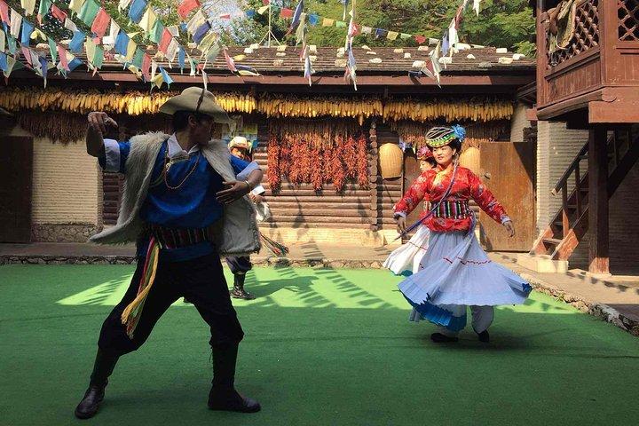Visite privée d'une journée à Shenzhen dans le village de Dafen, le musée de Shenzhen et plus encore